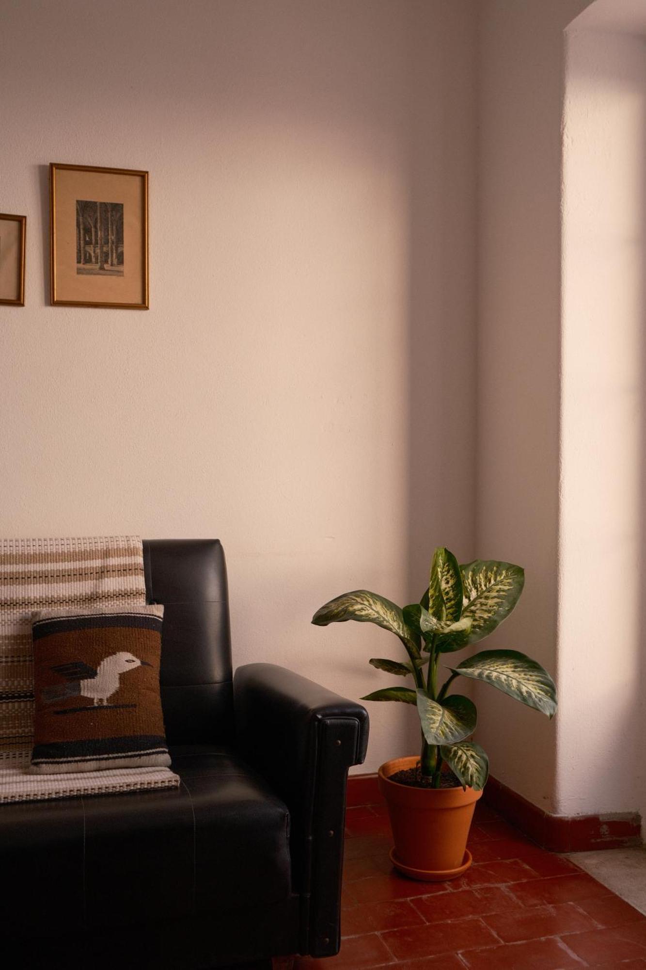 Manas Coliving Sines Exterior foto